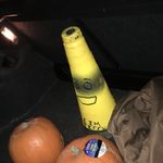 Terry The Traffic Cone - @official_terrythecone - Instagram