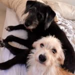 Terry Connell - @connellterry - Instagram