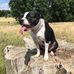 Terry Connell - Facebook