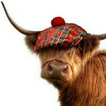 Terry Connell - @tc051954 - Instagram