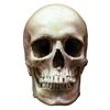 terry_oconnell - @terry_oconnell - TikTok