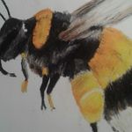 Terry Constantine - @terry.constantine.5 - Instagram