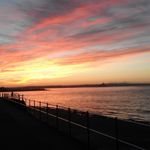 Terry Coogan - @terry_coogan - Instagram