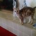 Terry Coogan - Facebook