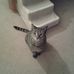Terry Coogan - Facebook