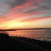 terrycoogan870 - @terrycoogan870 - TikTok