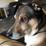 Terry Cooney - @terry.cooney - Instagram
