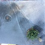 Terry Cooney - @tbc.woodwork - Instagram