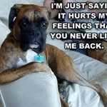 Terry Cooter - @terrycooter - Instagram