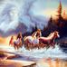Terry Copp - Facebook