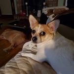 Terry Corbin - @teresacorbin6 - Instagram