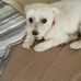Terry Cotelli - Facebook