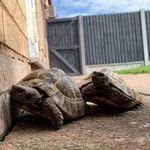 Cornelius and Terry - @corneliusandterry - Instagram