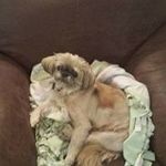 Terry L. Cornelius - @terrycorny - Instagram