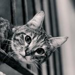 Terri Cornwell - @terricornwell5050 - Instagram