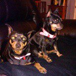 Terry Cornwell - @terry.cornwell - Instagram