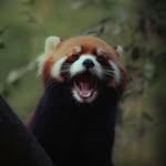 Terry Corrigan - @terryccorrigan - Instagram