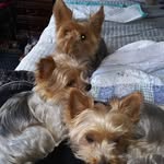Terry Corrigan - @terry.corrigan.391 - Instagram