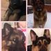 Terry Corrigan - Facebook