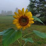Terry Cotter - @tlcot - Instagram