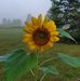 Terry Cotter - Facebook