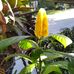Terry Cotto Erat - Facebook