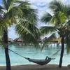 Terry Couture - @mr.couture100 - TikTok