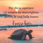 Terry Cristiano - @terry.cristiano.5 - Instagram