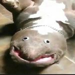 Lord terry - @terryjrcromwell - Instagram