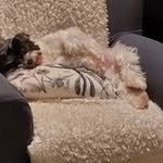 Terry Louise Cronin - @terrycronin20 - Instagram