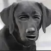 Terri Crook - @terri.crook - TikTok