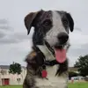 Terry Crook - @terry.crook2 - TikTok