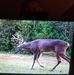 Terry Crowe - Facebook