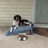 Terry Crowe - @terry.crowe482 - TikTok