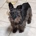 Terry Culbertson - Facebook