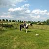 Terri Culver 🐴 - @terriculver - TikTok