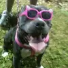 terrylcundiff715 - @terrylcundiff715 - TikTok