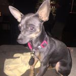 Terry Cuppett - @terrycuppett - Instagram