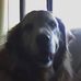 Terry Currier - Facebook