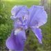 Terry Scavetta Currier - Facebook