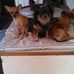 Terry Cutlip - Facebook