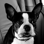 Terry Dabney - @terrydabney - Instagram