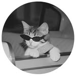 Fashion Terry | Fashion & Lifestyle | Daily Fashion Finds - @fashionterry_ - Instagram