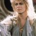Terry Daily - Facebook