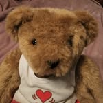 Terry Daily - @beary_krazy - Instagram
