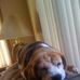 Terry Daily - Facebook