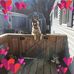 Teresa Danford - Facebook