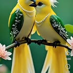 Terry Daniel - Facebook