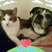 Terri Darr - Facebook