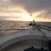 terrydarr679 - @terrydarr679 - TikTok